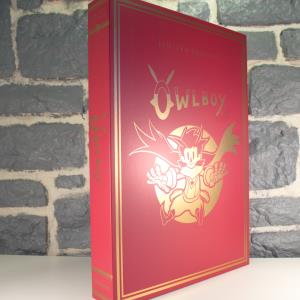 Owlboy Edition Collector (07)